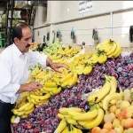 تشریح دلیل افزایش بی‌رویه قیمت موز/ هندوانه‌های ایرانی سالم است