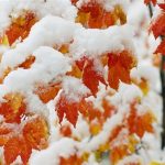 از آذربایجان تا خلیج‌فارس زیر بارش/ هشدار نارنجی هواشناسی تا چهارشنبه